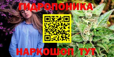 круглые Шебекино