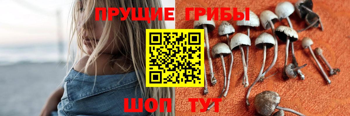 Галлюциногенные грибы Cubensis  Галлюциногенные грибы прущие грибы  Верхний Уфалей  Вход с VPN 